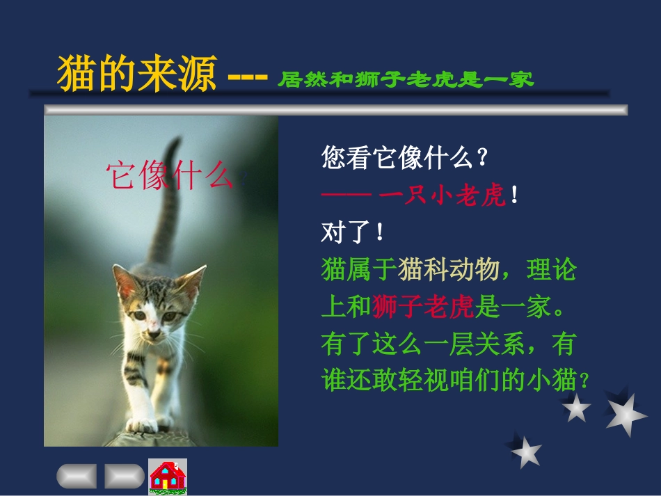 优秀作品－猫_第2页