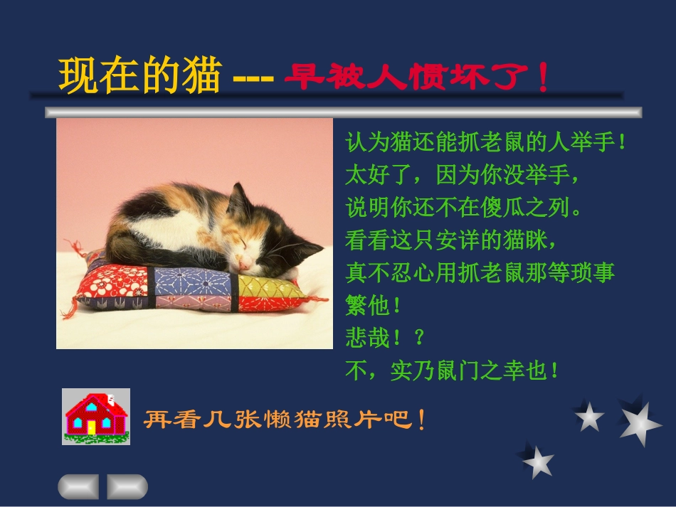 优秀作品－猫_第3页