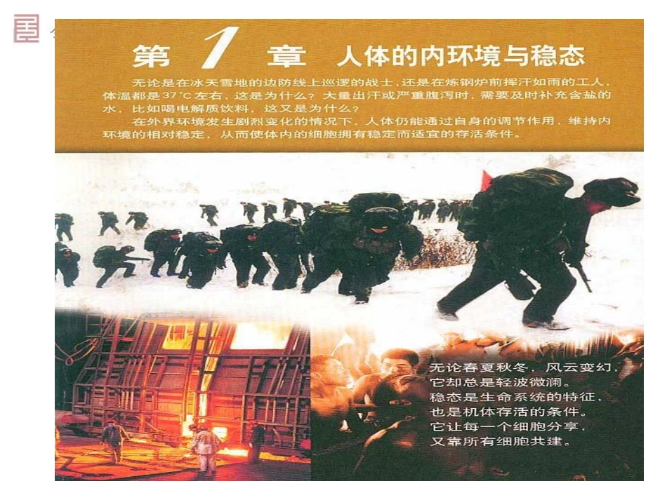必修三第1章人体的内环境与稳态第1节细胞生活的环境_第1页