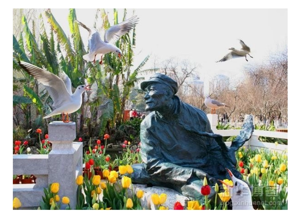 老人与海鸥(讲课)_第2页