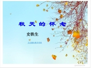 2_秋天的怀念_2013秋七年级语文上册