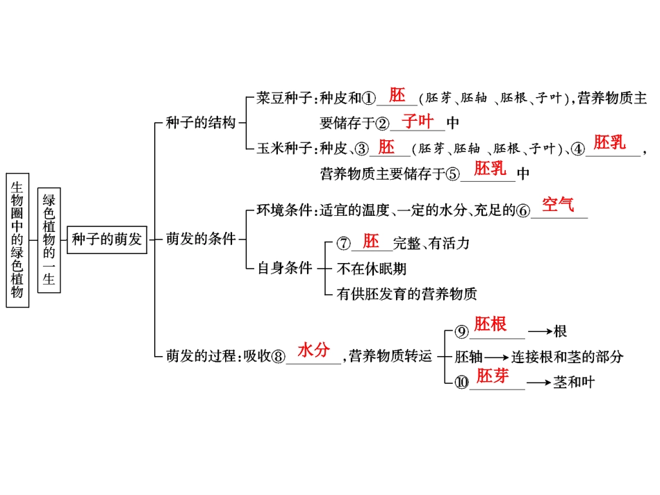 中考生物学专题知识整合·专题三生物圈中的绿色植物_第2页