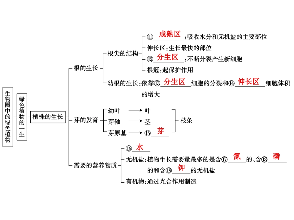 中考生物学专题知识整合·专题三生物圈中的绿色植物_第3页