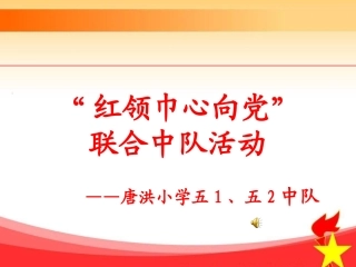 红领巾心向党