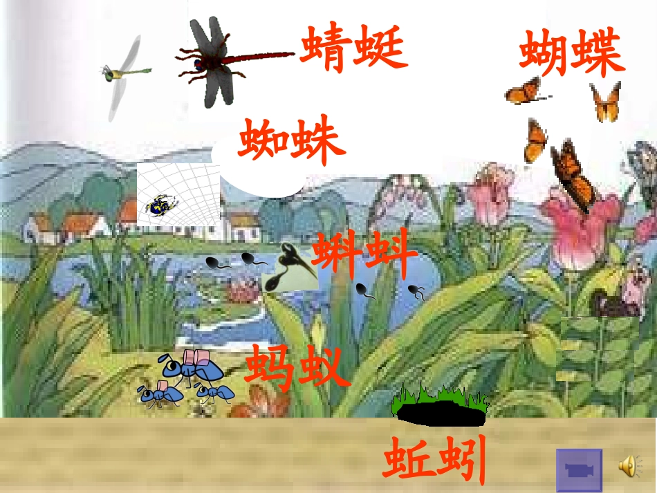 《识字4》课件_第2页