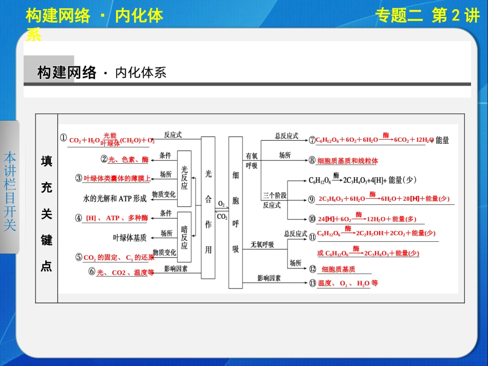 二轮专题突破：光合作用与细胞呼吸_第2页