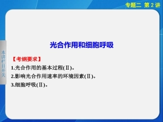 二轮专题突破：光合作用与细胞呼吸