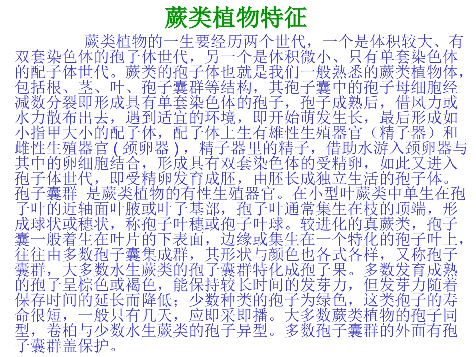 蕨类植物特征_第1页