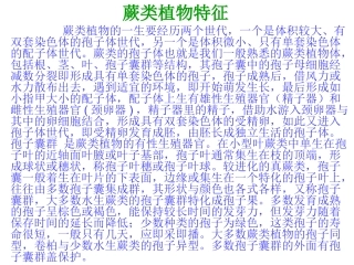蕨类植物特征