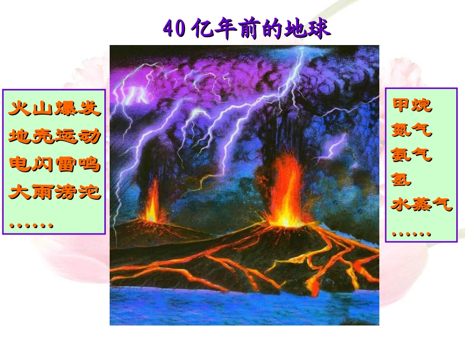 生物的起源(1)_第3页