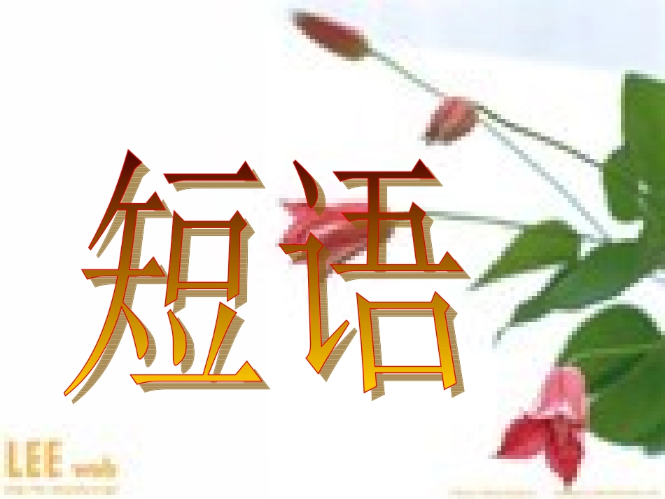 短语知识大比拼_第1页