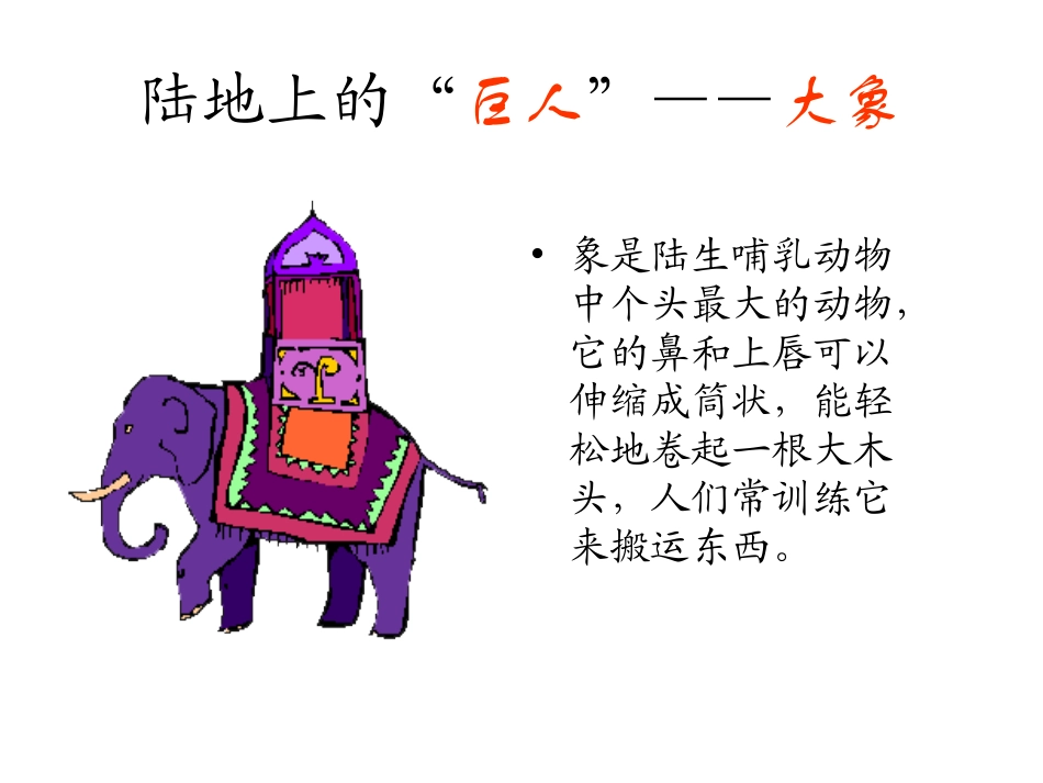 认识哺乳动物_第3页