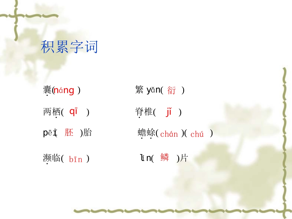 奇妙的克隆上课_第3页