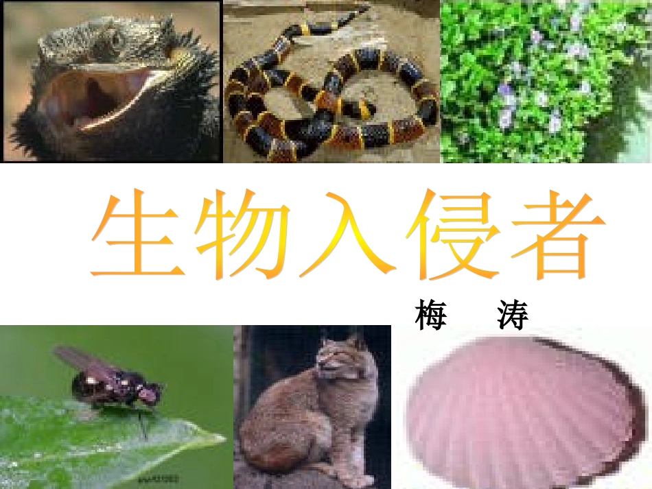 《生物入侵者》_第2页