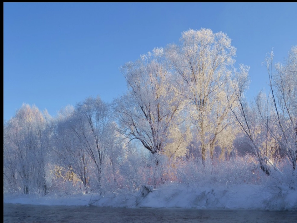 23美丽的小兴安岭 (3)_第1页