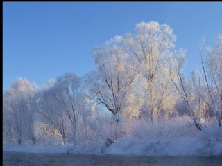 23美丽的小兴安岭 (3)