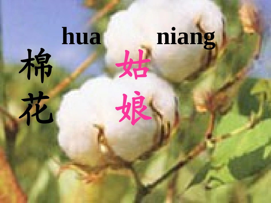 棉花姑娘文稿2_第2页