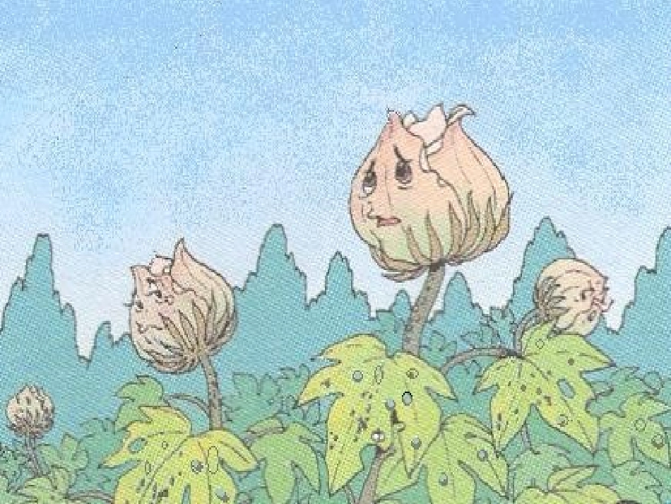 棉花姑娘文稿2_第3页