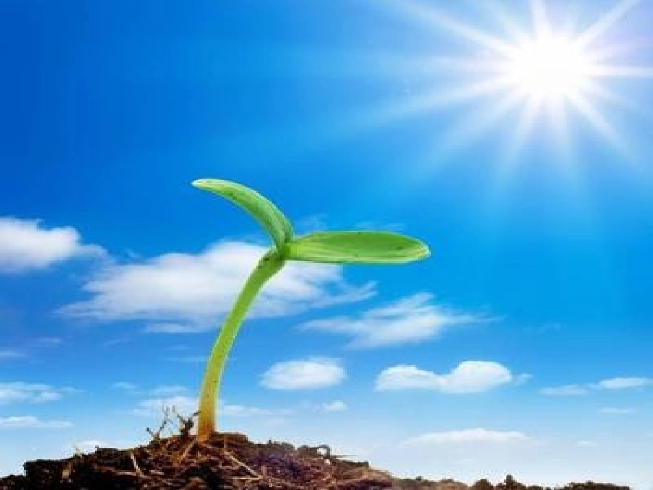 神奇的房子课件_第3页