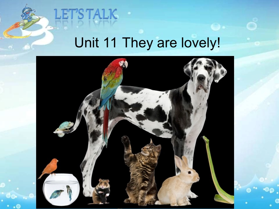 Unit11第1课时_第3页