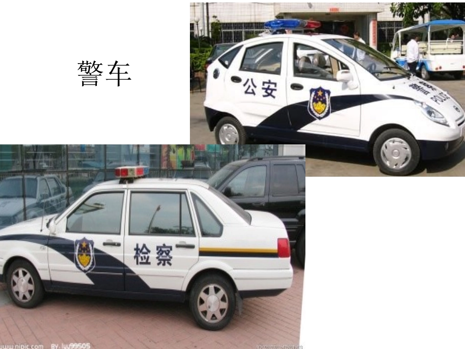 特殊种类的车_第2页