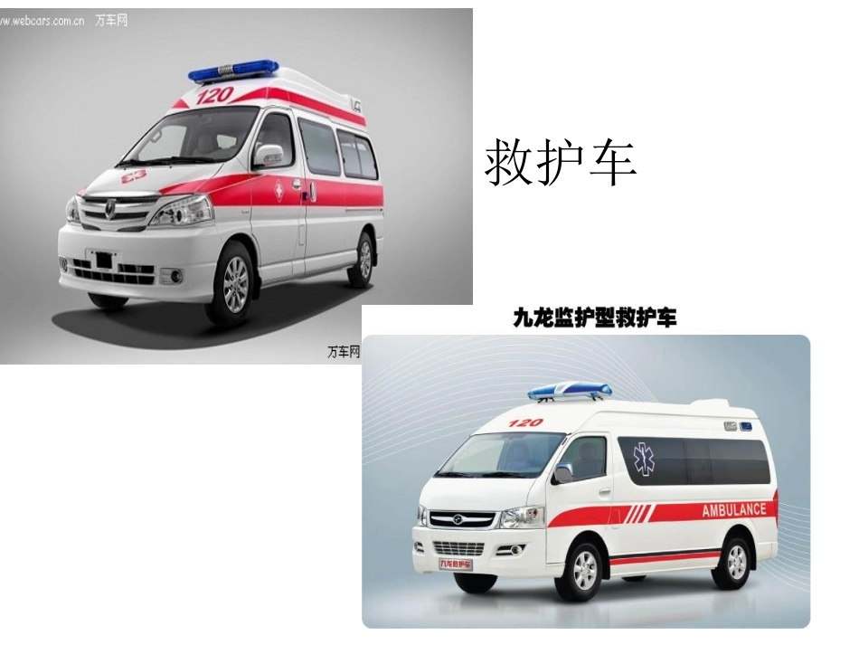 特殊种类的车_第3页