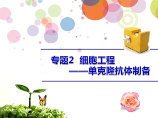 人教版生物选修三【动物细胞工程3】---公开课