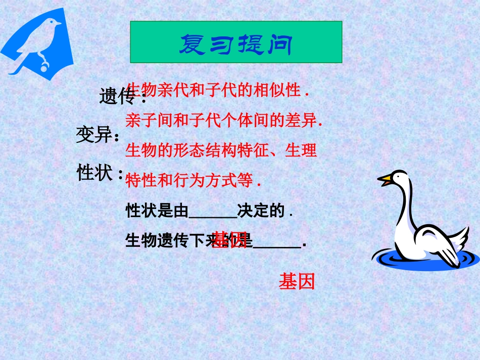 第二节基因在亲子间的传递_第1页