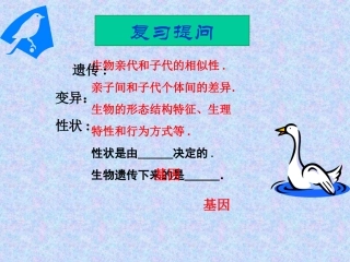 第二节基因在亲子间的传递