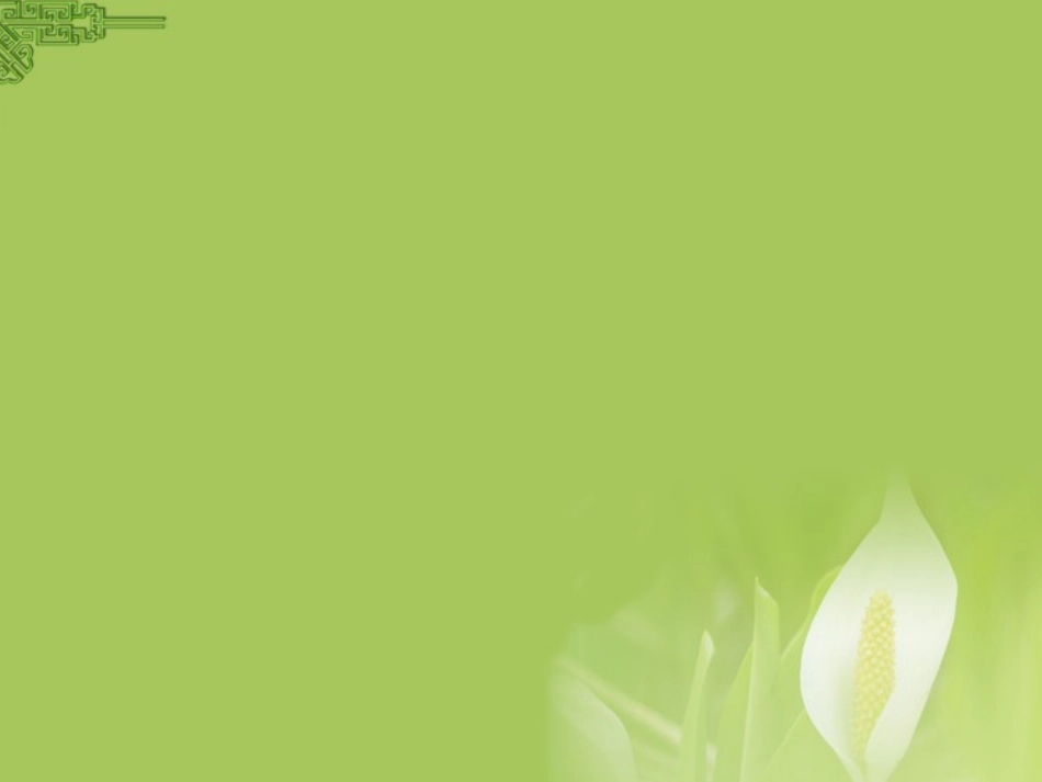 中国石拱桥_第1页