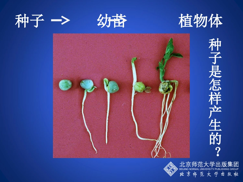 植物的生殖方式_第2页