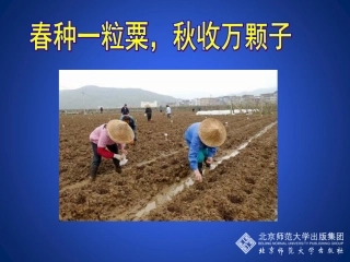 植物的生殖方式