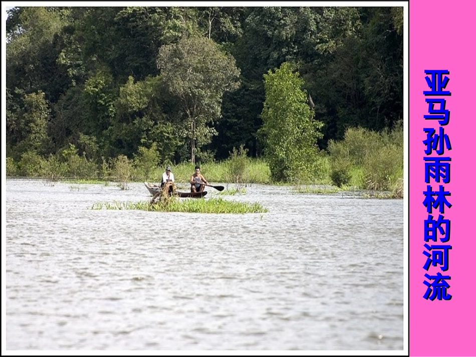 《地球之肺在受伤》课件(公开课专用)418_第2页