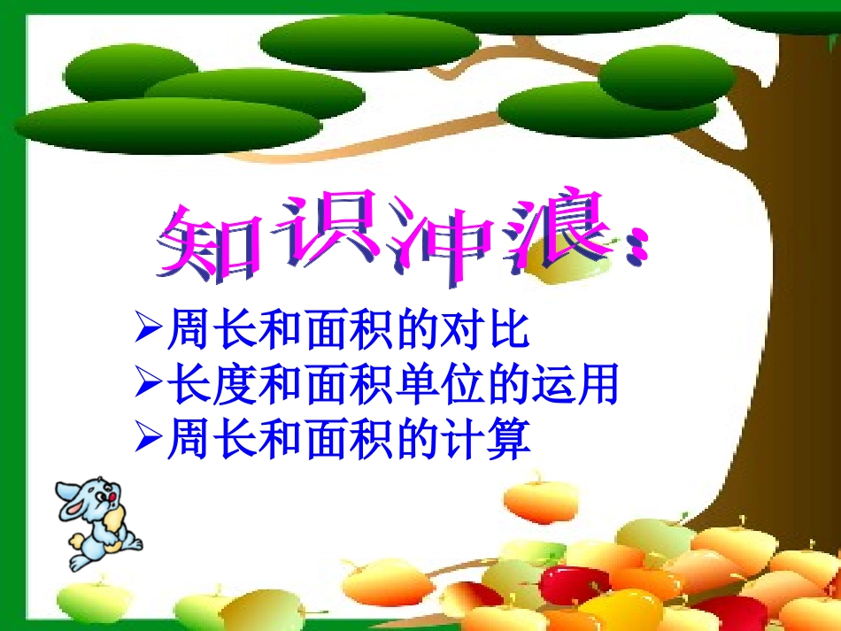 长正方形复习_第2页