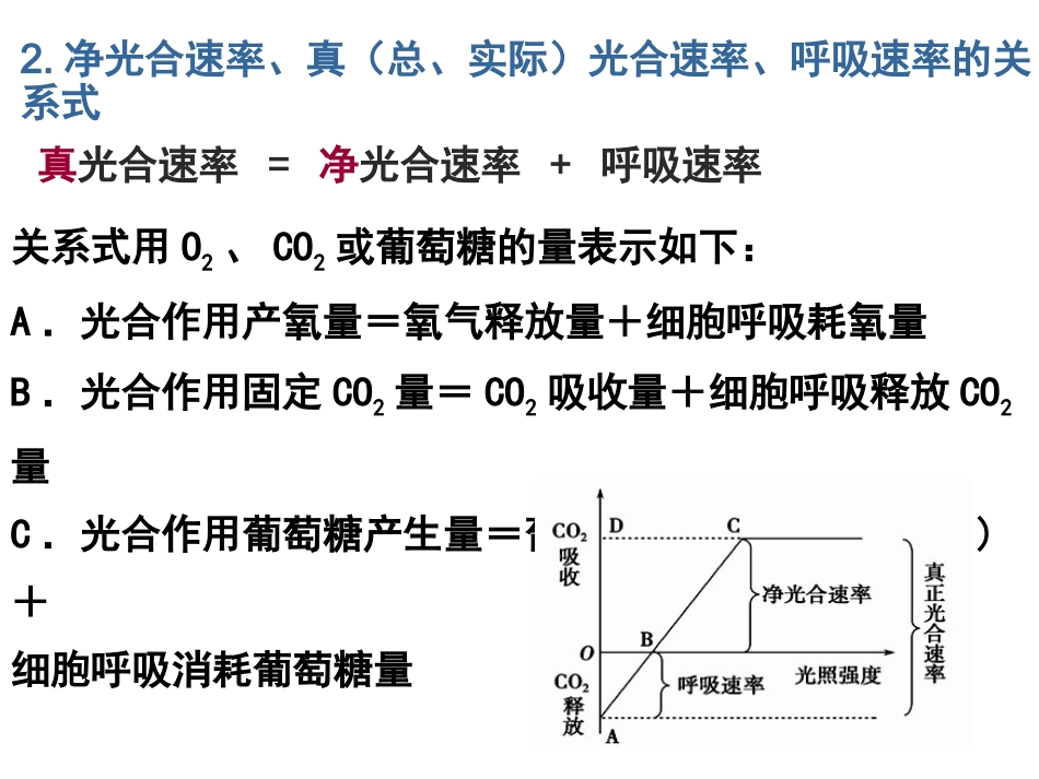 影响光合作用的因素1_第1页