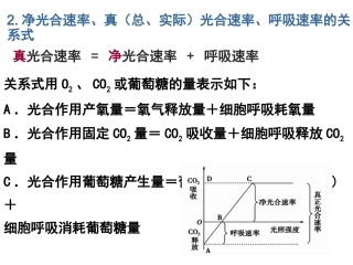 影响光合作用的因素1