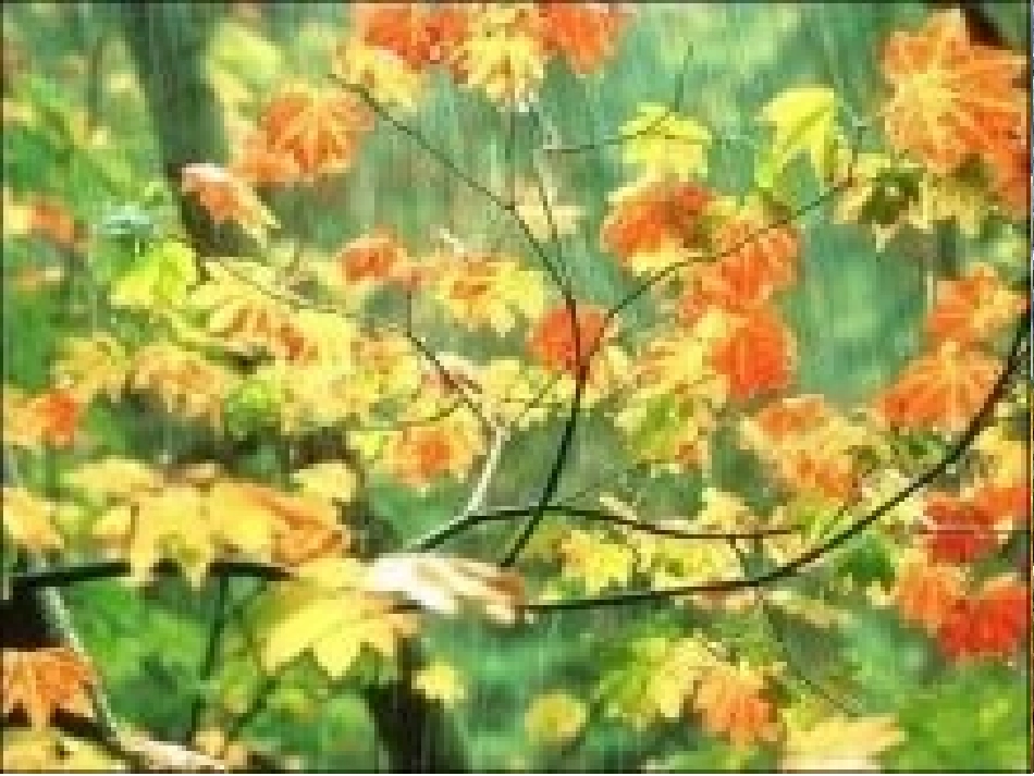 秋天的雨（公开课）_第2页