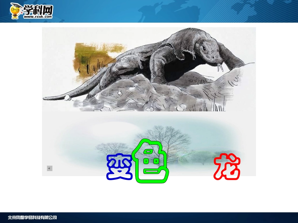 变色龙 (2)_第1页