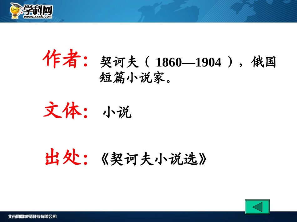 变色龙 (2)_第3页
