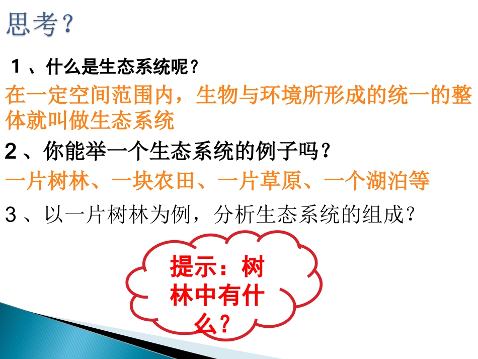 生态系统的组成_第2页