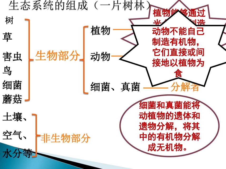 生态系统的组成_第3页
