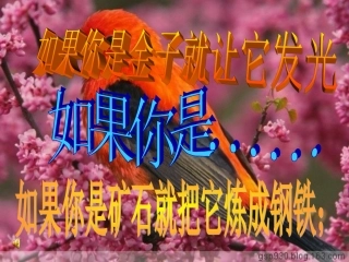 第八单元《课题一金属材料》课件