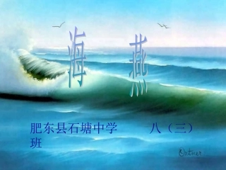 海燕公开课课件