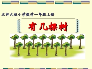 有几棵树公开课