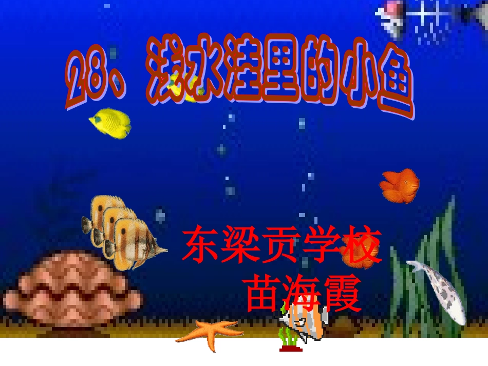 浅水里的小鱼_第1页