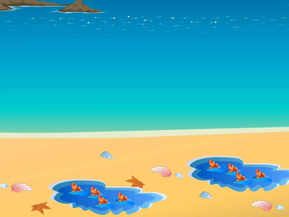 浅水里的小鱼_第3页