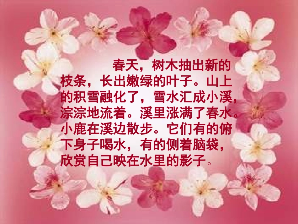 （人教新课标）三年级语文课件　美丽的小兴安岭_第2页