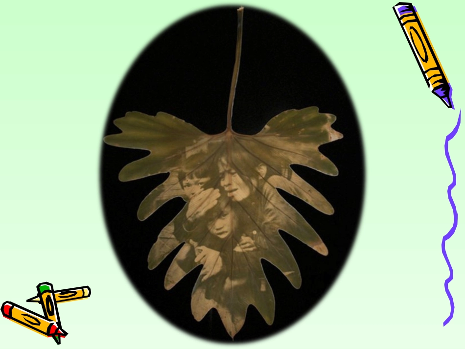 绿叶在光下制造有机物课件_第2页