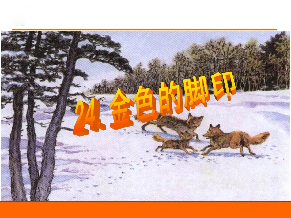 24金色的脚印 (2)_第1页
