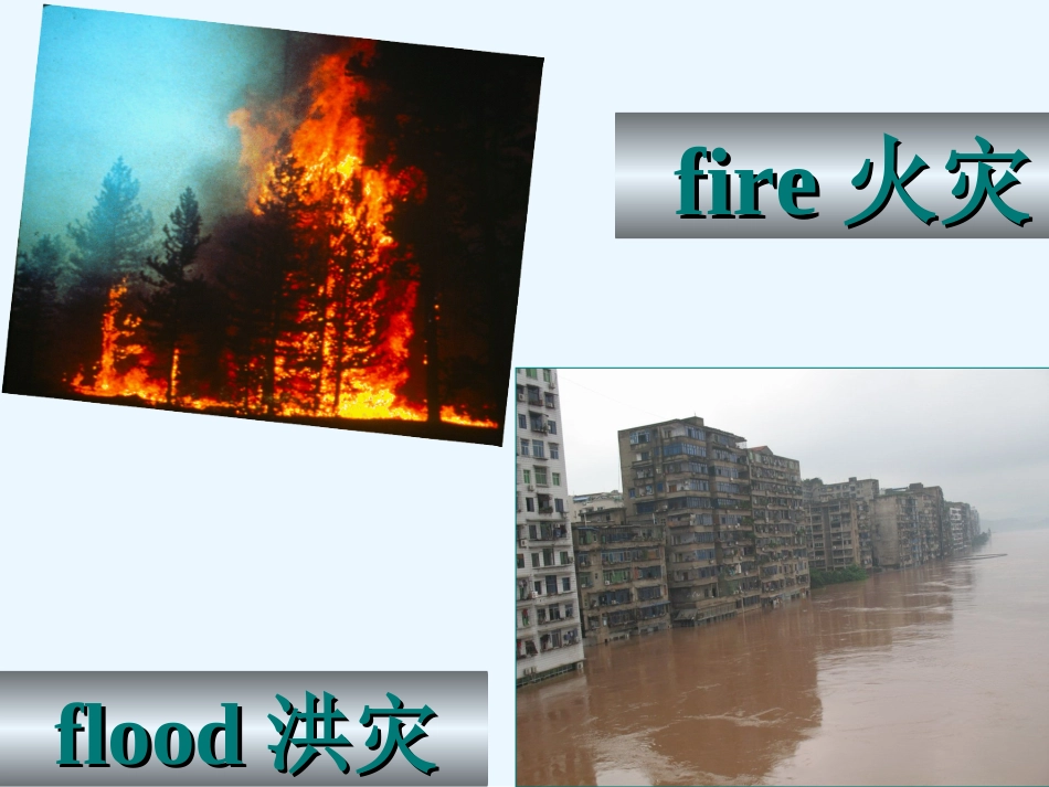 Unit4高中英语必修一第四单元reading课件_第3页